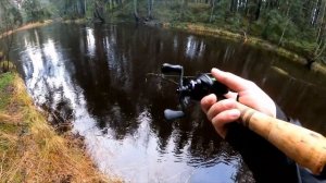 KingDom Micro Monster Pro Тест на реке, магниты 4х2 мм.