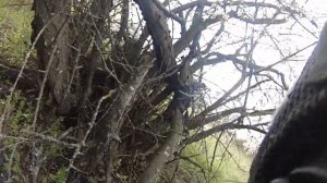 Защита точки возле абрикоса/Позывной "Филин"