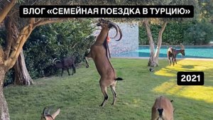 ВЛОГ «СЕМЕЙНАЯ ПОЕЗДКА В ТУРЦИЮ»