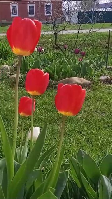 позитивчик🎼🌱 смотреть онлайн