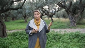 Оливковое масло и его полезные свойства | 16+