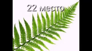 ТОП 50 СМЕШНЫХ ПРЕДМЕТОВ 2X ВЕРСИЯ СКАЧАТЬ ОНЛАЙН ФОРТНАЙТ БЕСПЛАТНО СКИДКА 50% БЕЗ СМС В 4К И 3D