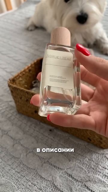 Делаю заказ с китайских маркетплейсов Taobao и Poizon. https://vk смотреть онлайн