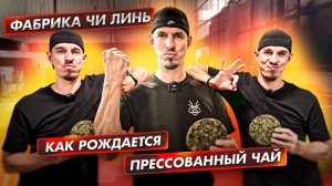 Прессованный чай: как метод прессовки влияет на вкус, сравнение ручного и машинного способов
