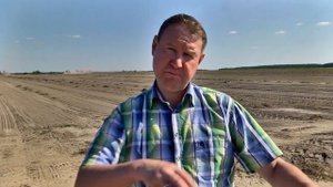 Как выращивают лук-севок?