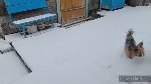 Жизнь аборигенки. Что я готовила на выходные.