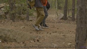 Зимняя сказка с волшебным звуком! - PhotobiomodulationStates of Coincidence -- 10 Echo -- Unnamed al