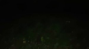 НАСЛАТЬ ЛЕШЕГО НА ВРАГОВ