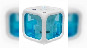 Какую воду заливать в увлажнитель воздуха?