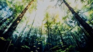 Фея Лена и лесные жители (мульт песенка детям❤️)