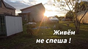 Работа кипит! Создаем уют на участке//инструмент ломается, я не сдаюсь//