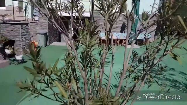 ☀️Гостиница "Орхидея" / Крым / Севастополь / п.Николаевка/ день 10