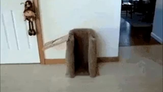 Музыкальный юмор смотреть онлайн