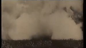 Дикая Дивизия