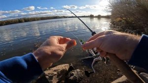 Где искать Щуку осенью, ловля Щуки в холодной воде! #сп?