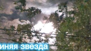 коты воители. Звездоцап.