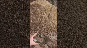 куча щебня 5 тонн.