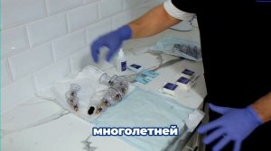Линейка расходных материалов по стандартам HGN
