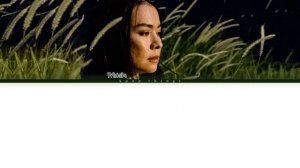 Mitski 'I Bet on Losing Dogs' (ПЕРЕВОД НА РУССКИЙ Color Coded Lyrics Rus/Eng)