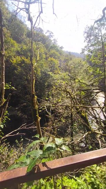 Тропа пошла вверх и движемся к Хостинской крепости на горе. Это был монастырь смотреть онлайн