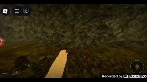 играю в игру от пупсика в roblox