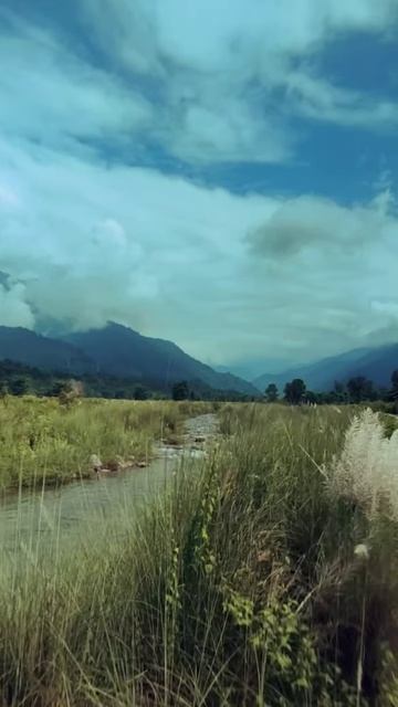 life is this #travel #nature #trending #viral #shorts #viralshorts #edit #reels #subscribe #explore