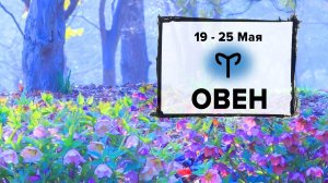 ОВЕН ♈ 19 - 25 Мая 2025 | Расклад таро на неделю для знака Зодиака Овен