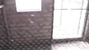 Внимание ! Отправка голубей на Сумы и показ голубей с нутрии.....