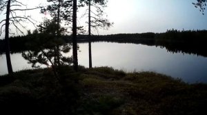 Рыбалка в августе на карельской ламбине.