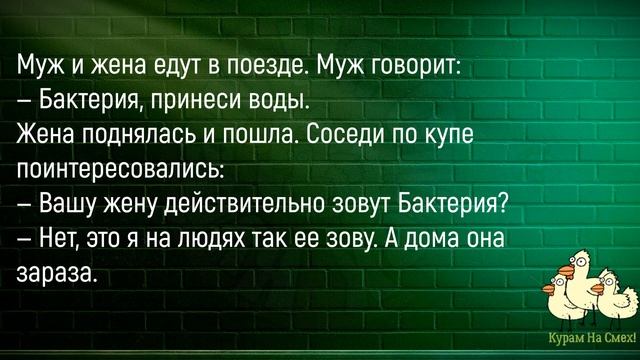🐔Сидят Дома Муж И Жена...Сборник Новых Смешных Анекдотов Про Мужа И Жену! смотреть онлайн
