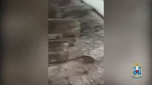 В Ростовской области полицейские ликвидировали цех по производству сомнительной алкогольной продукци