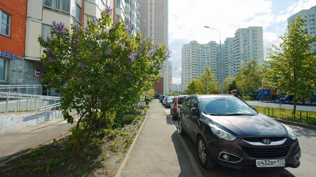 Защитников Москвы 5 WB