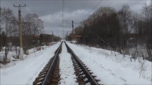 " Заяц - дорожник - железнодорожник "Русская гончая Баян  вл. Шамгин А.Ю.