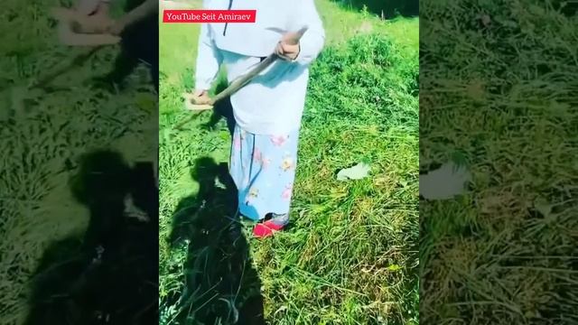 ДИНАРА БАГЫШБАЕВА  ЧӨП ЧАПКАНДА....#ТАМАШОУЧУ #АКТРИСА #ЖАҢЫКЕЛИН #ТОКТОГУЛ