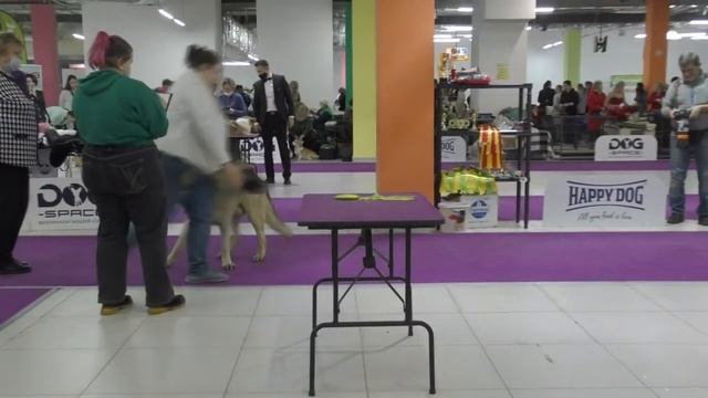 Пират смотреть онлайн