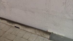 Вытяжка в перепелятник