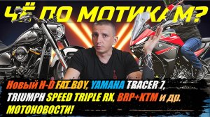 ЧЁ ПО МОТИКАМ? НОВЫЙ H-D FAT BOY, YAMAHA TRACER 7, SPEED TRIPLE RX, BRP+KTM и др. МОТОНОВОСТИ!