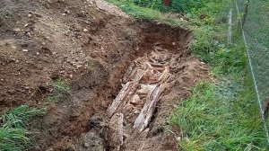 Подготовка траншеи для посадки голубики. Начало. 01.10.202