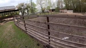 Волкодав взялся за старое и поймал его ! Опять потери ? ХУТОР В ЛЕСУ №679