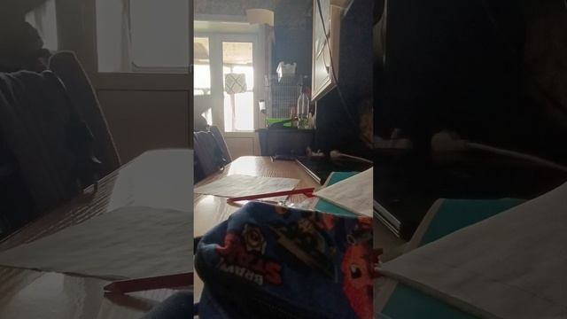 краш тест картонного ноута смотреть онлайн