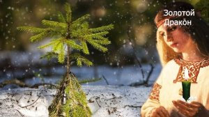 Когда надо убирать елку по народным приметам, чтобы весь год везло