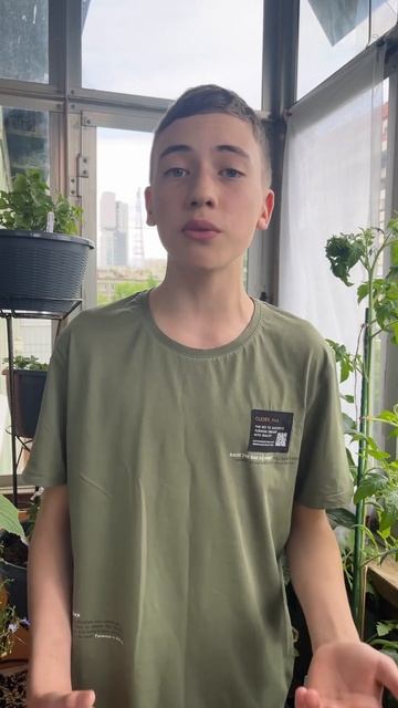 УРОЖАЯ БУДЕТ МНОГО! #дача #сад #огород #урожай #выращива смотреть онлайн