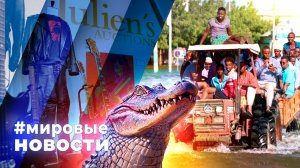 МИРОВЫЕ НОВОСТИ – 14 мая 2025