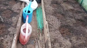 посадила огурцы, приготовила грибной суп