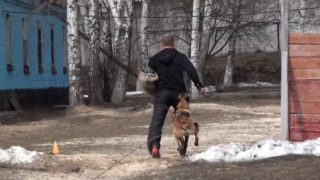 через жопу смотреть онлайн