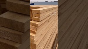 Отличие Дискового распила от ленточного. Премиум Лес