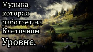 🎶 Музыка, которая работает на клеточном уровне.яндекс музыка
