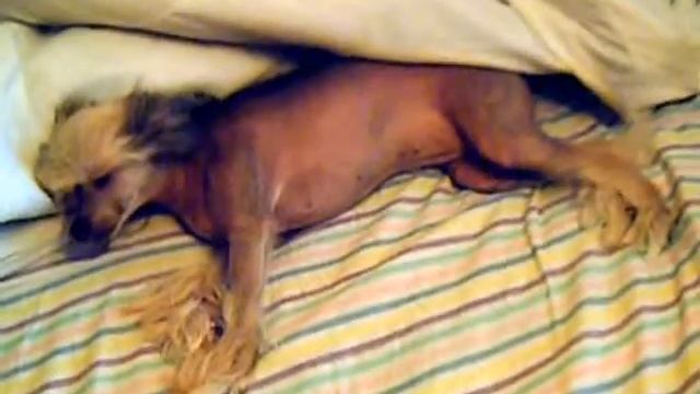 Вставай, соня;-) смотреть онлайн