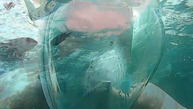 8 марта 2022 г. смотреть онлайн