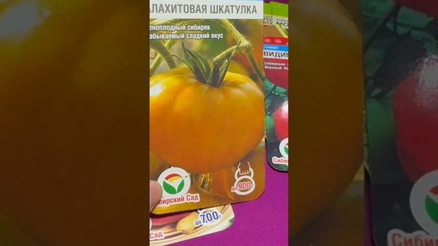 Томат Малахитовая шкатулка #томаты #помидоры #рассада смотреть онлайн